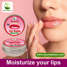 Load image into Gallery viewer, Ayurvedic Lip Balm
